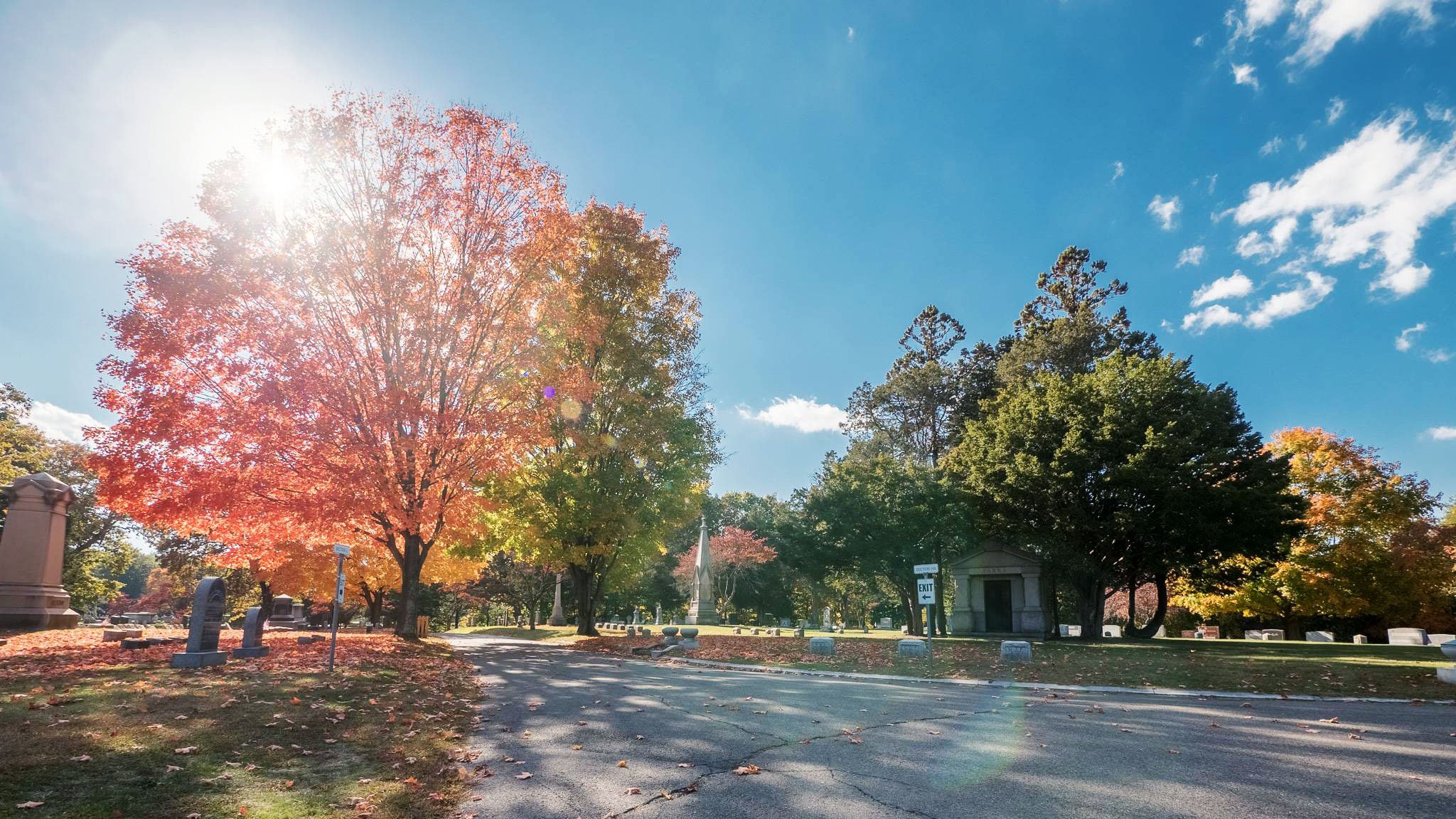 Oak Lawn Cemetery and Arboretum with trees changing colors around many burial options